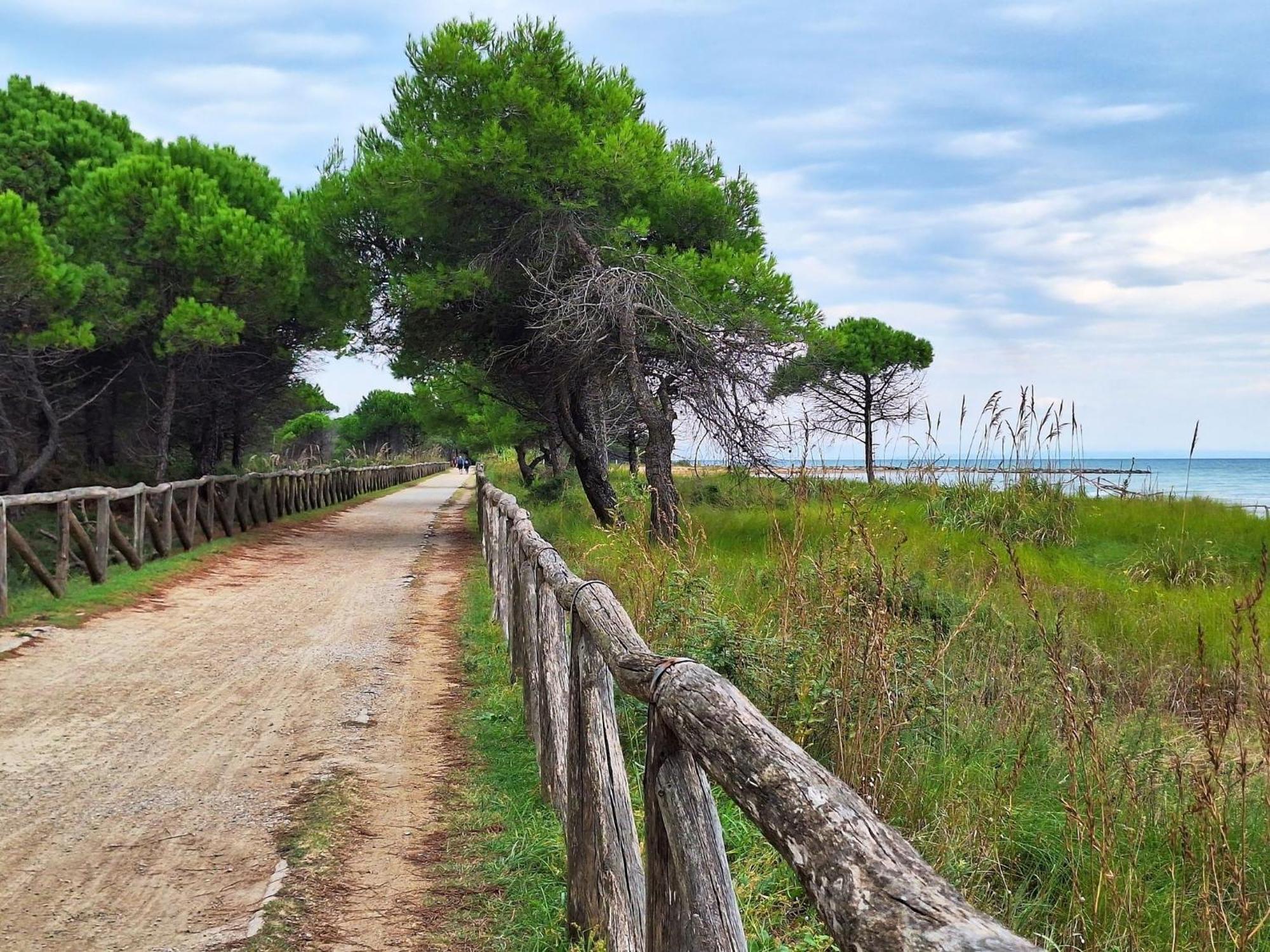 Feel At In Our Cozy Flat With Shared Pool Apartment Bibione